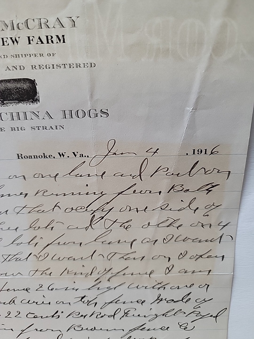 1916 JOHN McCRAY GRANDVIEW FARM POLAND-CHINA HOGS Letterhead / 1123-tf2
