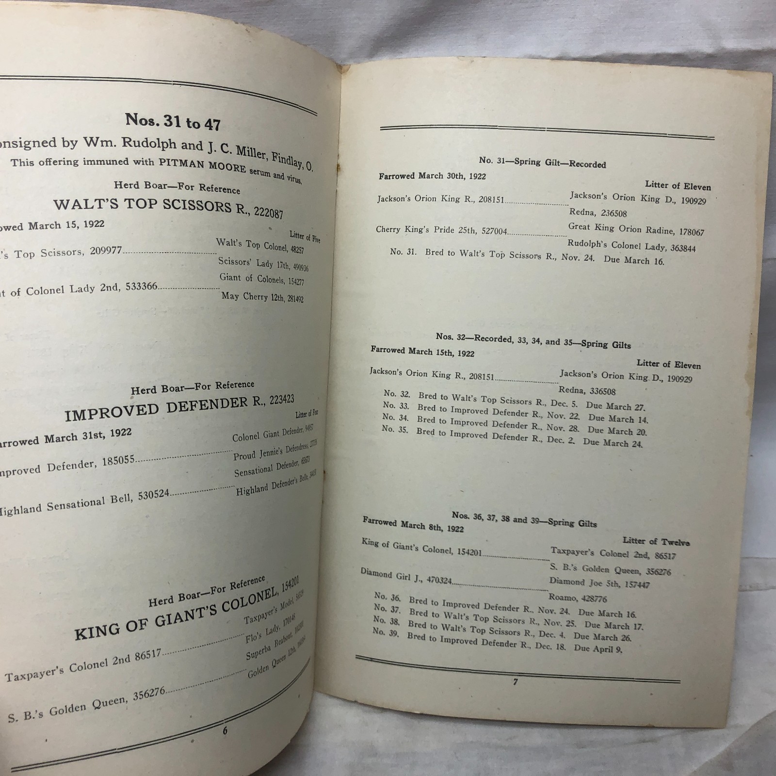 Vintage 1923 45-Duroc-45 Bred Sows Sale Booklet