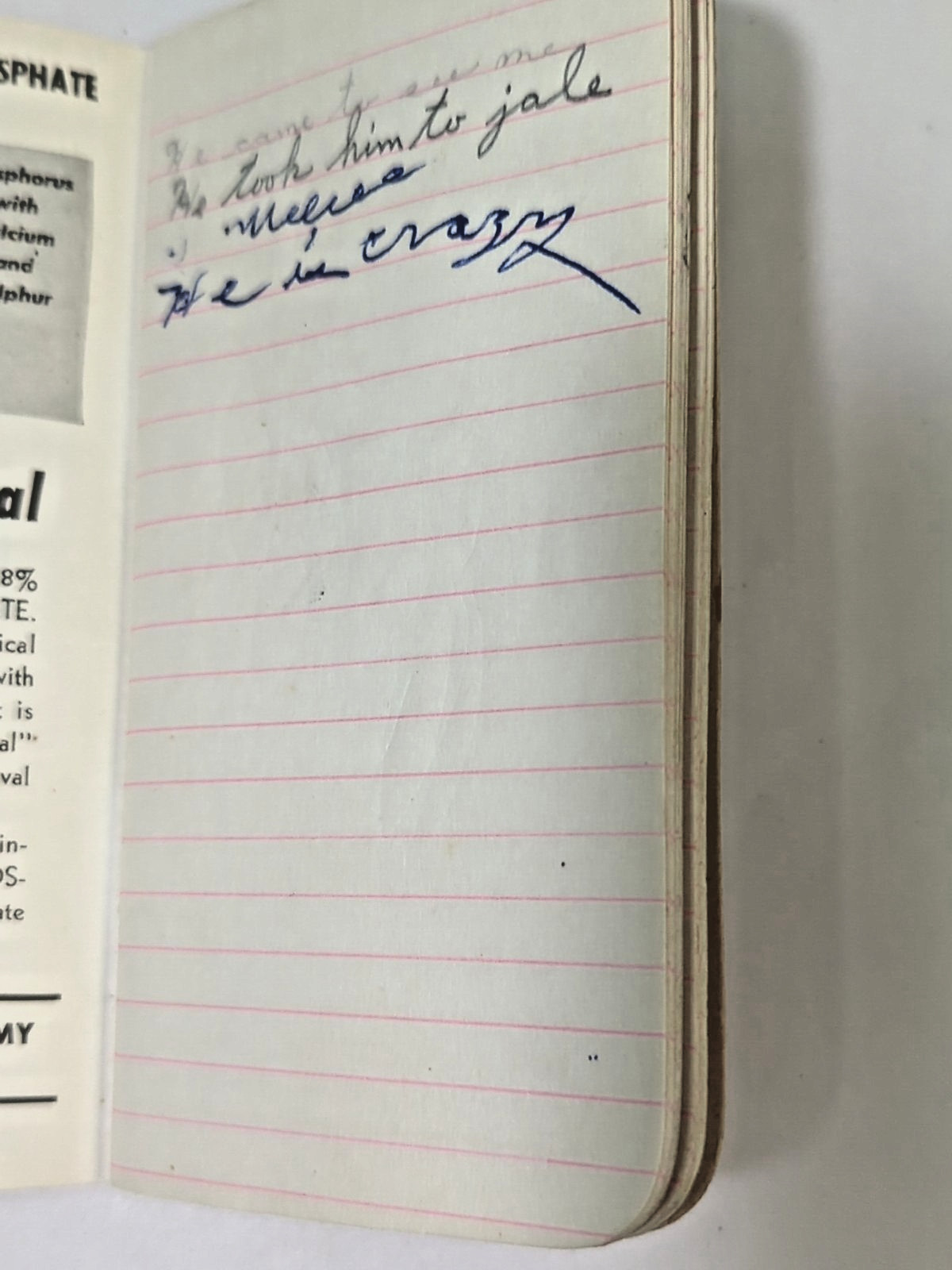 Agrico Fertilizer « Daily Reminder » Memo Booklet Vintage 1949
