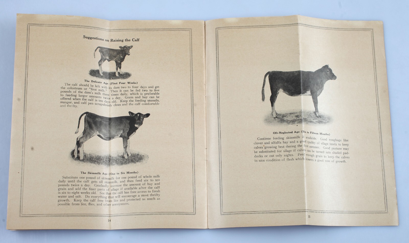 1924 Success With Dairy Cows Booklet Wisconsin College of Agriculture Extension