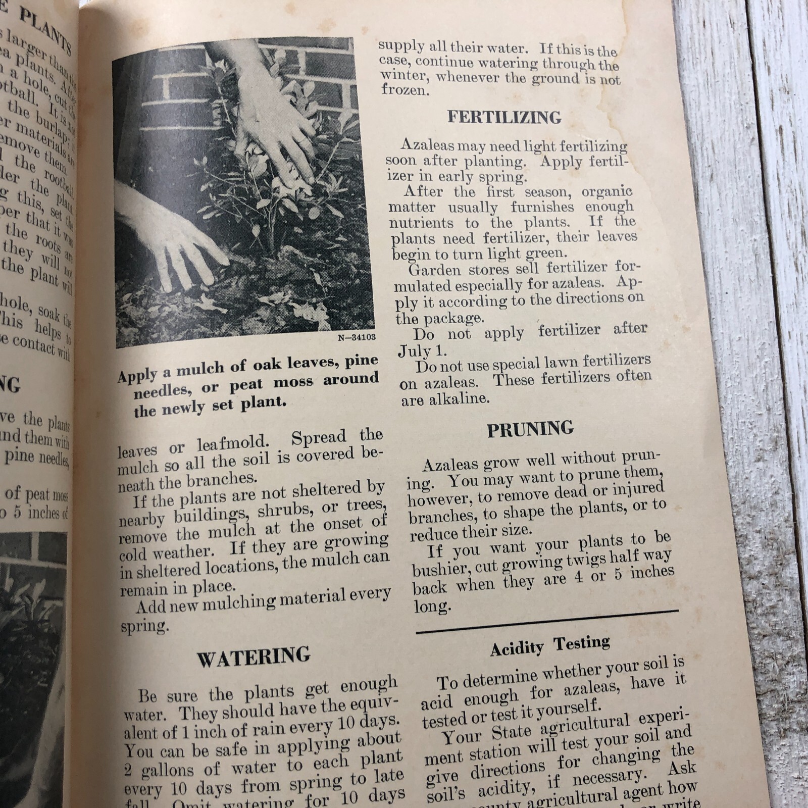 Vintage U.S. Department Of Agriculture Growing Azaleas & Rhododendrons Pamphlet