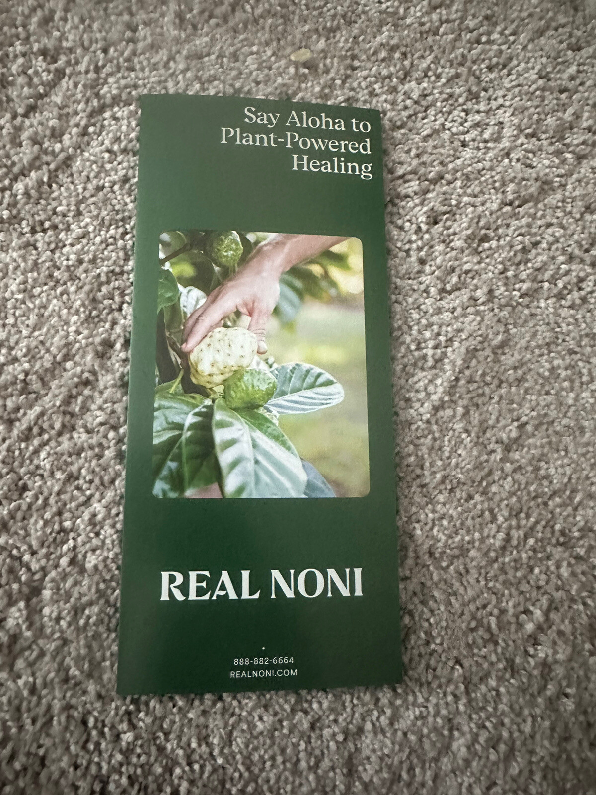 Real Noni Aloha Hawaii Farmers Tours Plant Power Healing Brochure