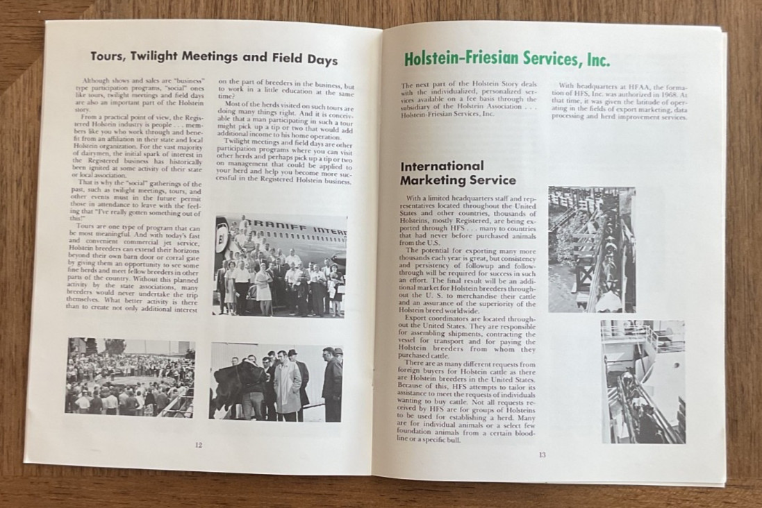 Magazine for Holstein Friesian Association of America – Breed For The New Breed
