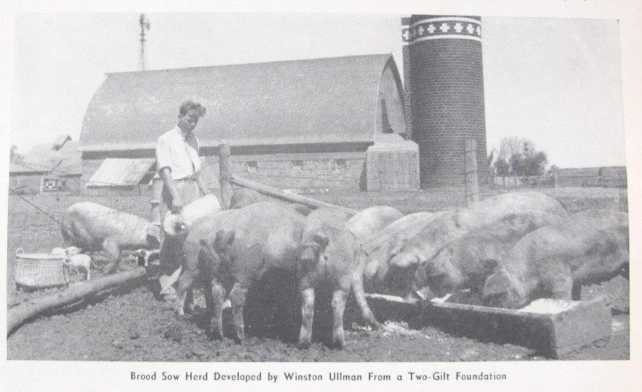 Original 1939 Farm Youth Photo Article Winston Ullman of Brookings County SD