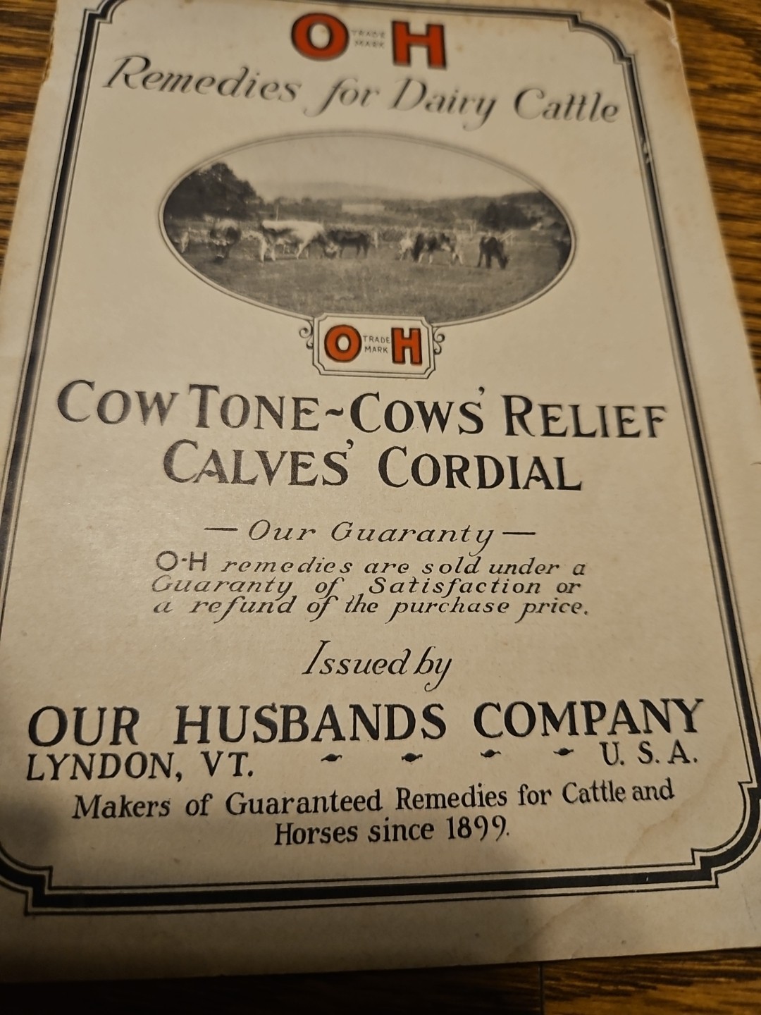 Vintage 1924 Our Husbands Company Cow Book, Lyndon, Vermont Cowtone Cows Calves