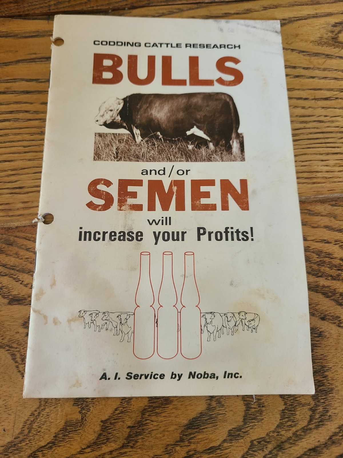 Vintage Noba Cattle Bulls Booklet
