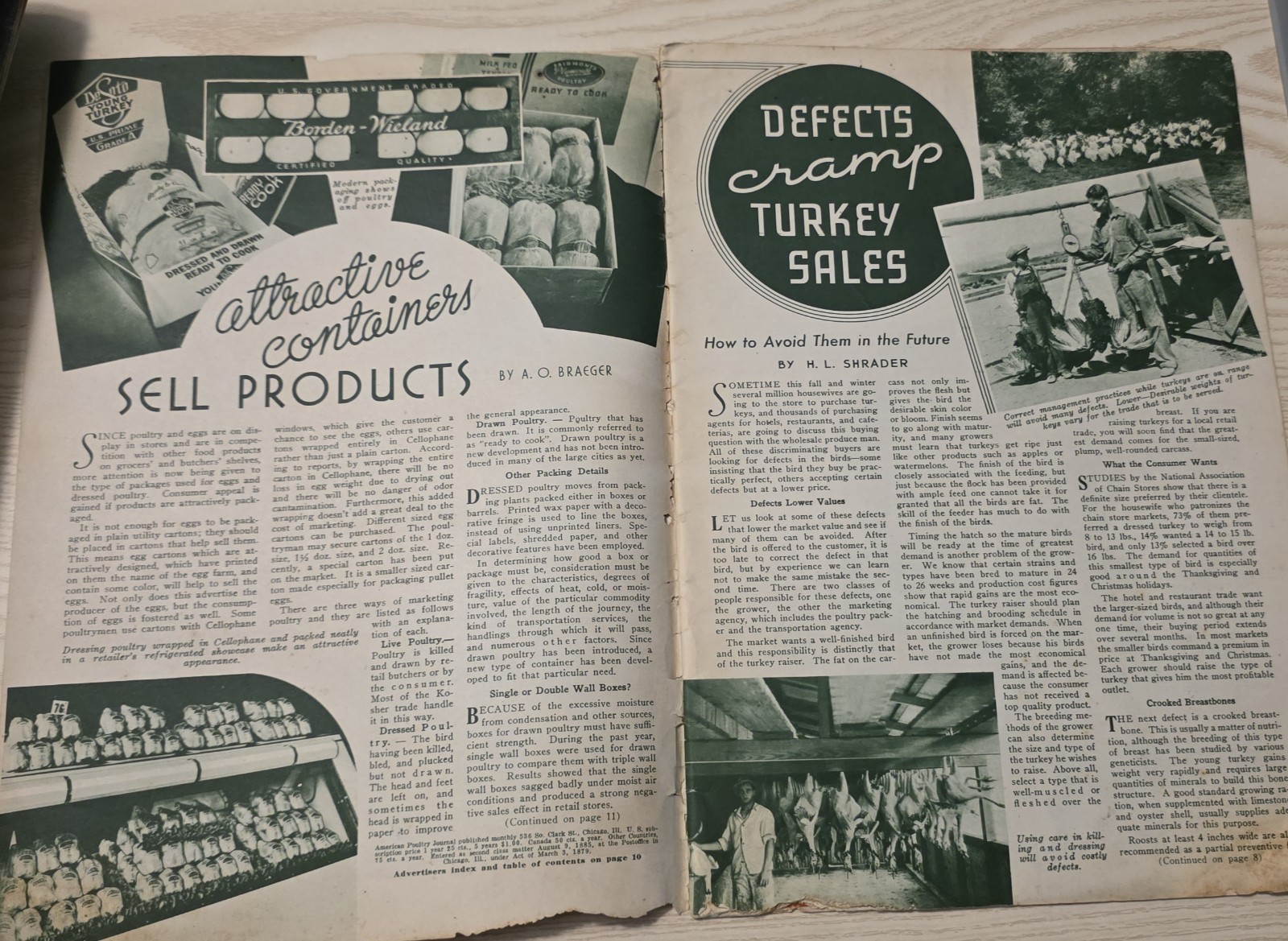 RARE 1938 American Poultry Journal Magazine Nov Vintage Farm Agriculture Turkey