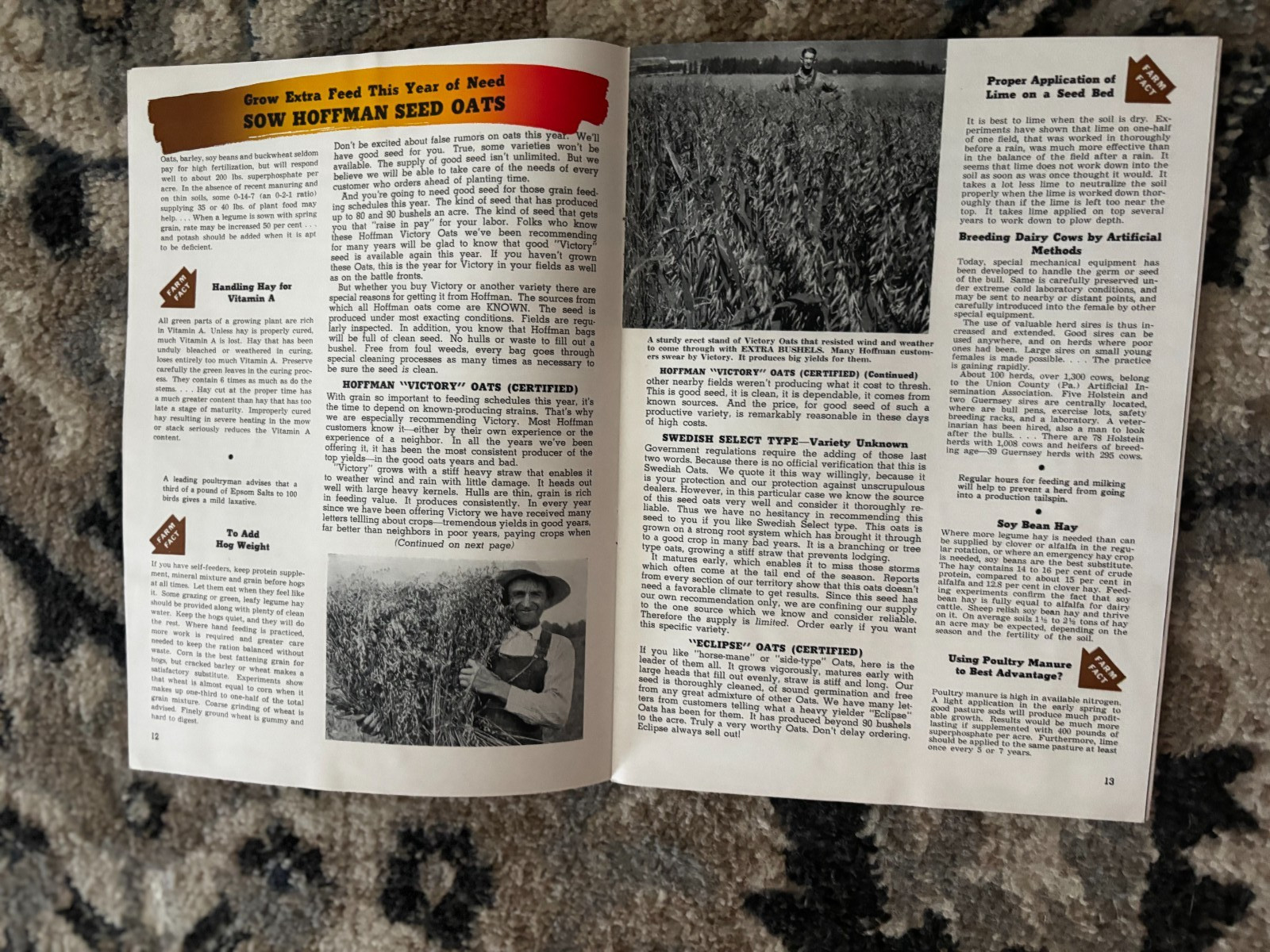 Pfister Hybrids Corn Guide For 1955 Brochure DCPA26