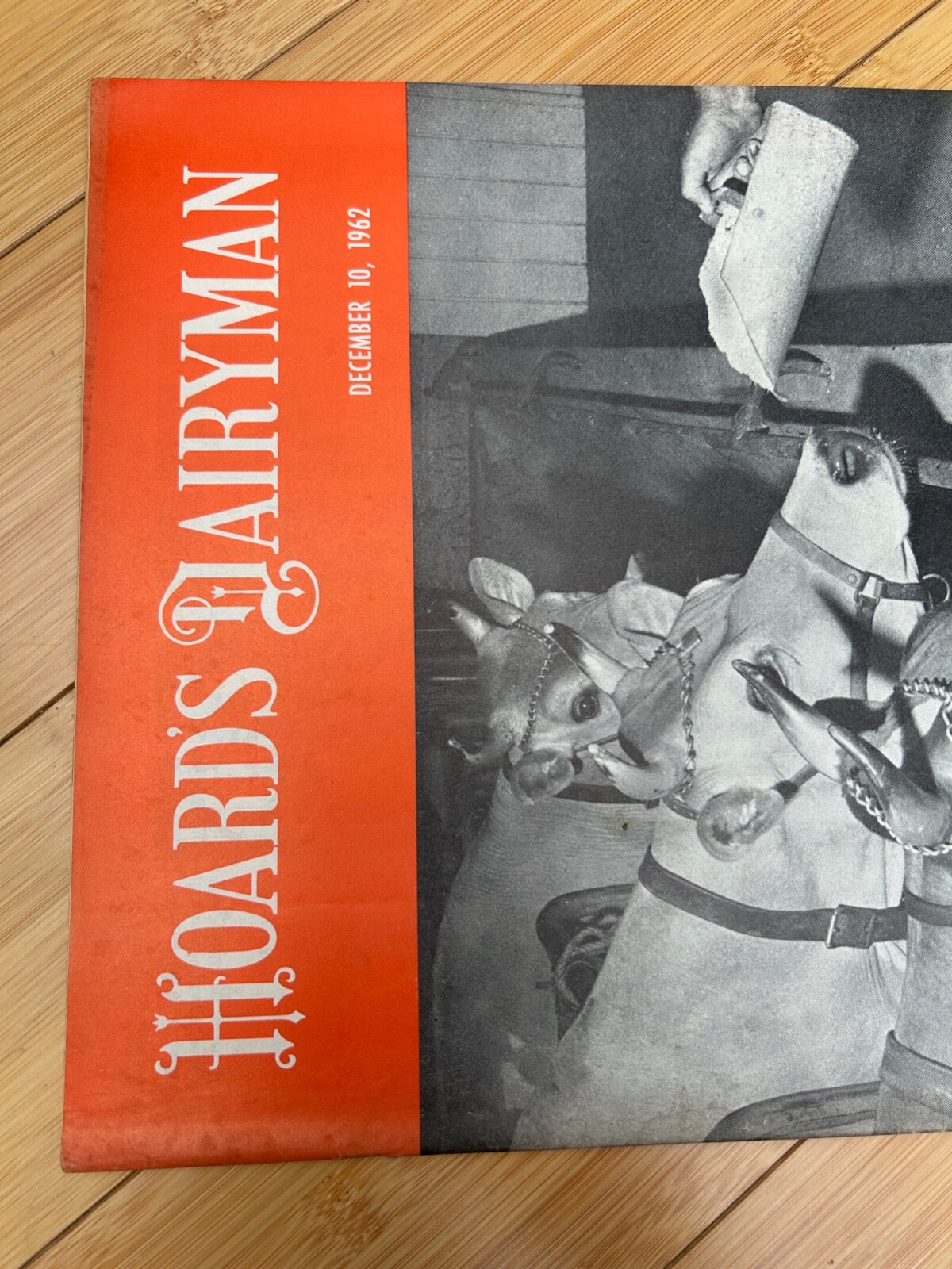 DEC 10 1962 HOARD&rsquo;S DAIRYMAN DAIRY FARM MAGAZINE OCCO MINERAL FEEDS