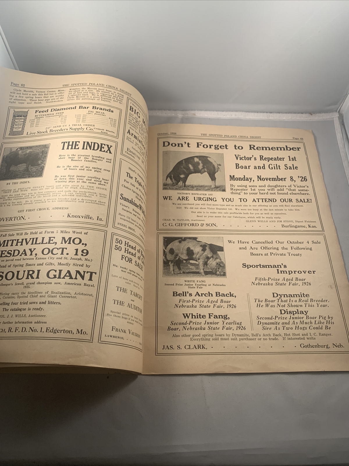 Spotted Poland China Pig Hog Digest October 1926 Missouri Kansas City Catalog