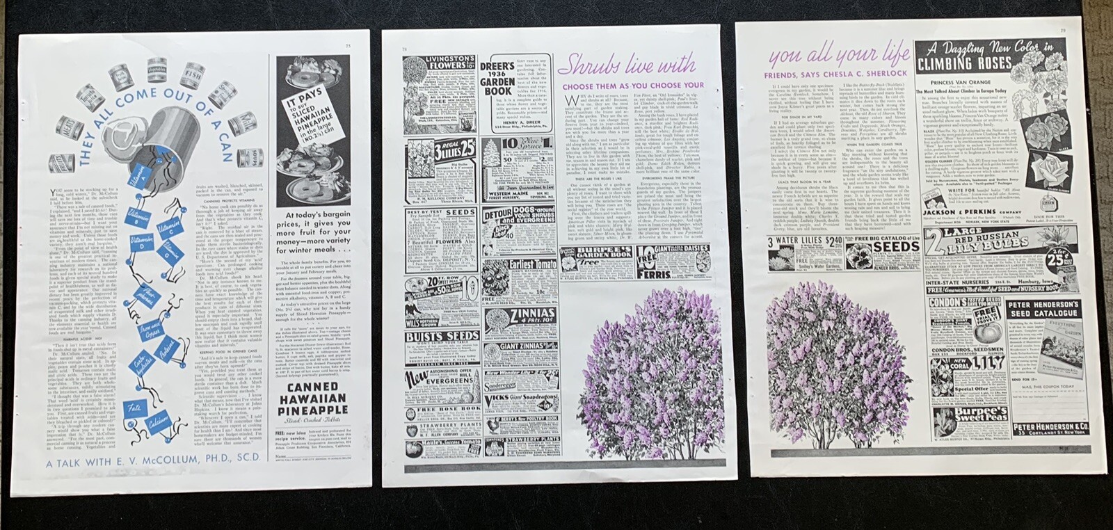 Vintage Burpee’s Ferry’s Gardening Flowers Seed Ephemera Prices Print Ads Read