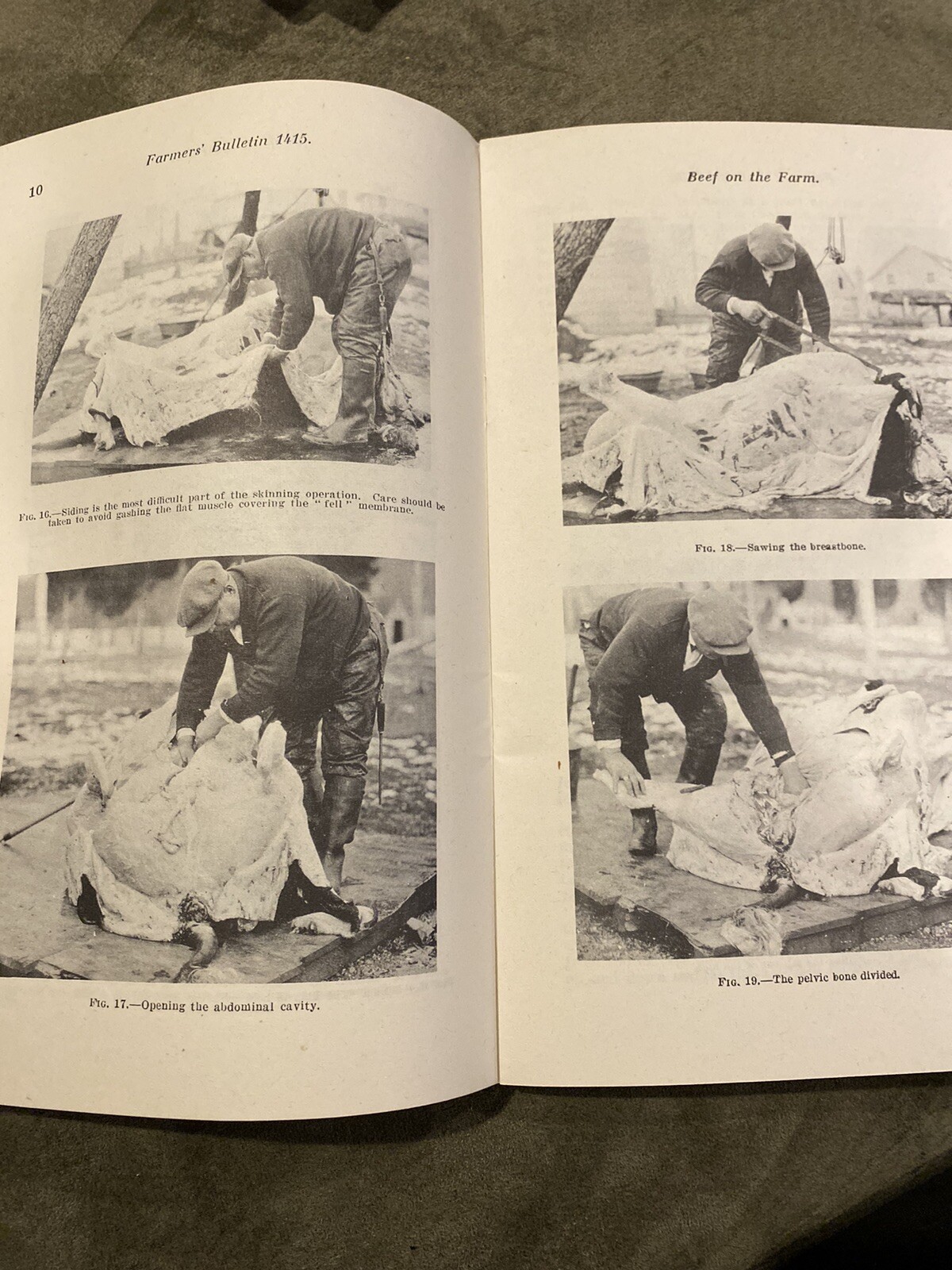 US Department Of Agriculture Beef On The Farm 1950