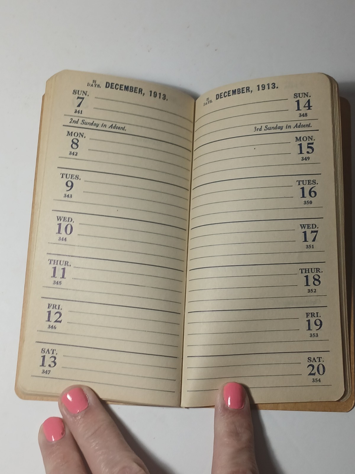 1913 Vintage Antique Fargo North Dakota Seed House Farm Ledger Book Magill & Co.