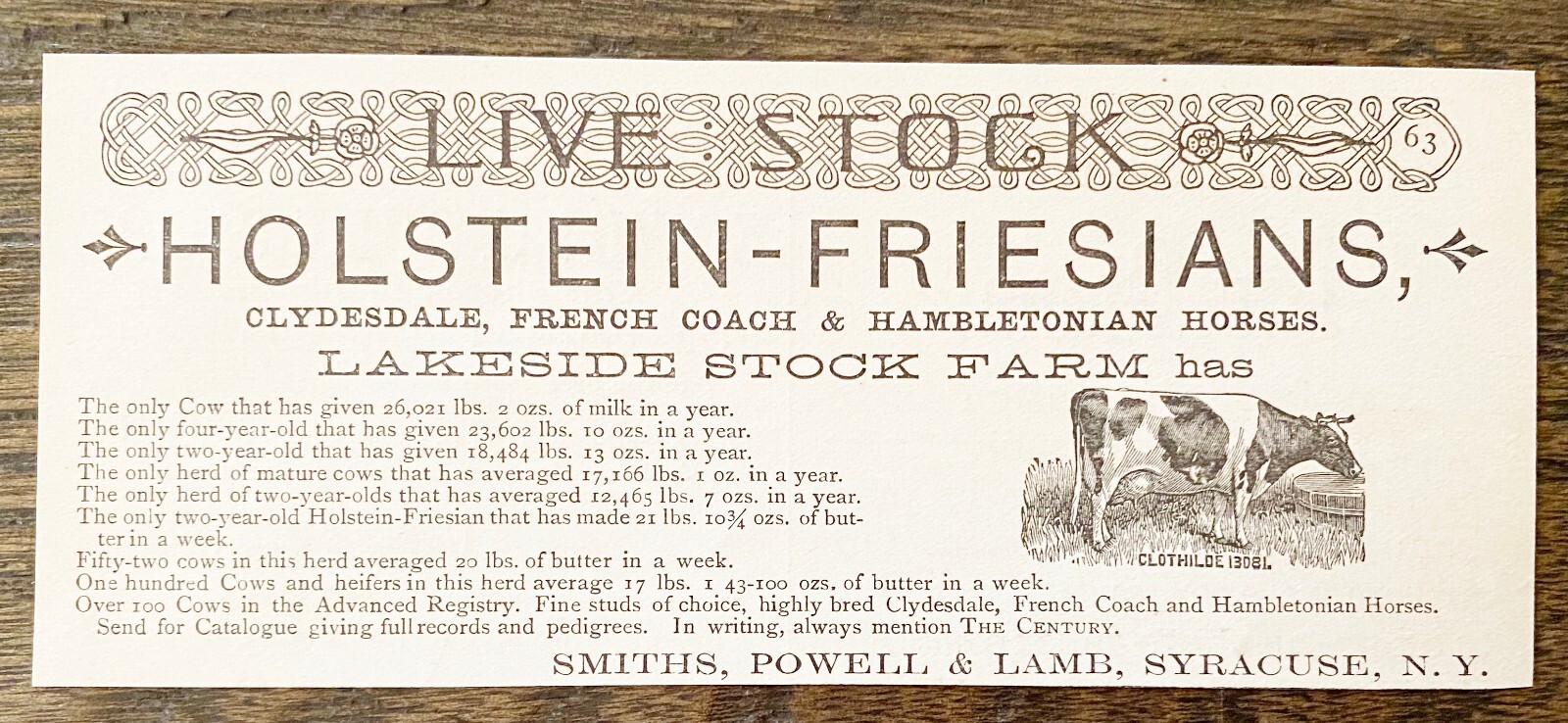 1888 LAKESIDE STOCK FARM Print Ad~Holstein Friesian Cattle Cow Breeders Syracuse