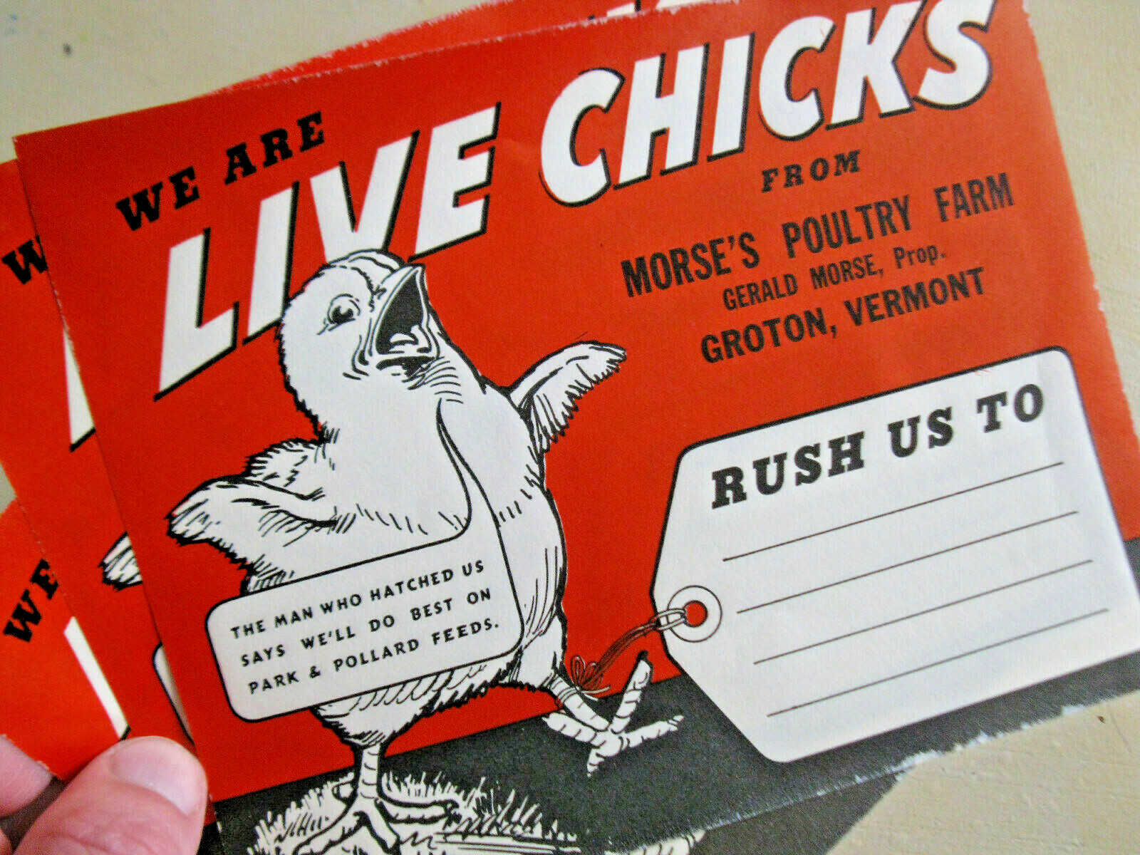 Vintage LIVE CHICKS Morse’s Poultry Farm Groton VT Label Signs Lot of 3