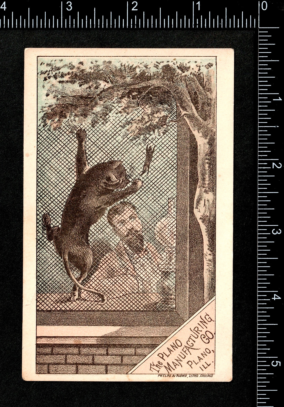 Odd Victorian Humor Cat & Mouse Farm Chase Plano Mfg Protection IL Trade Card LD