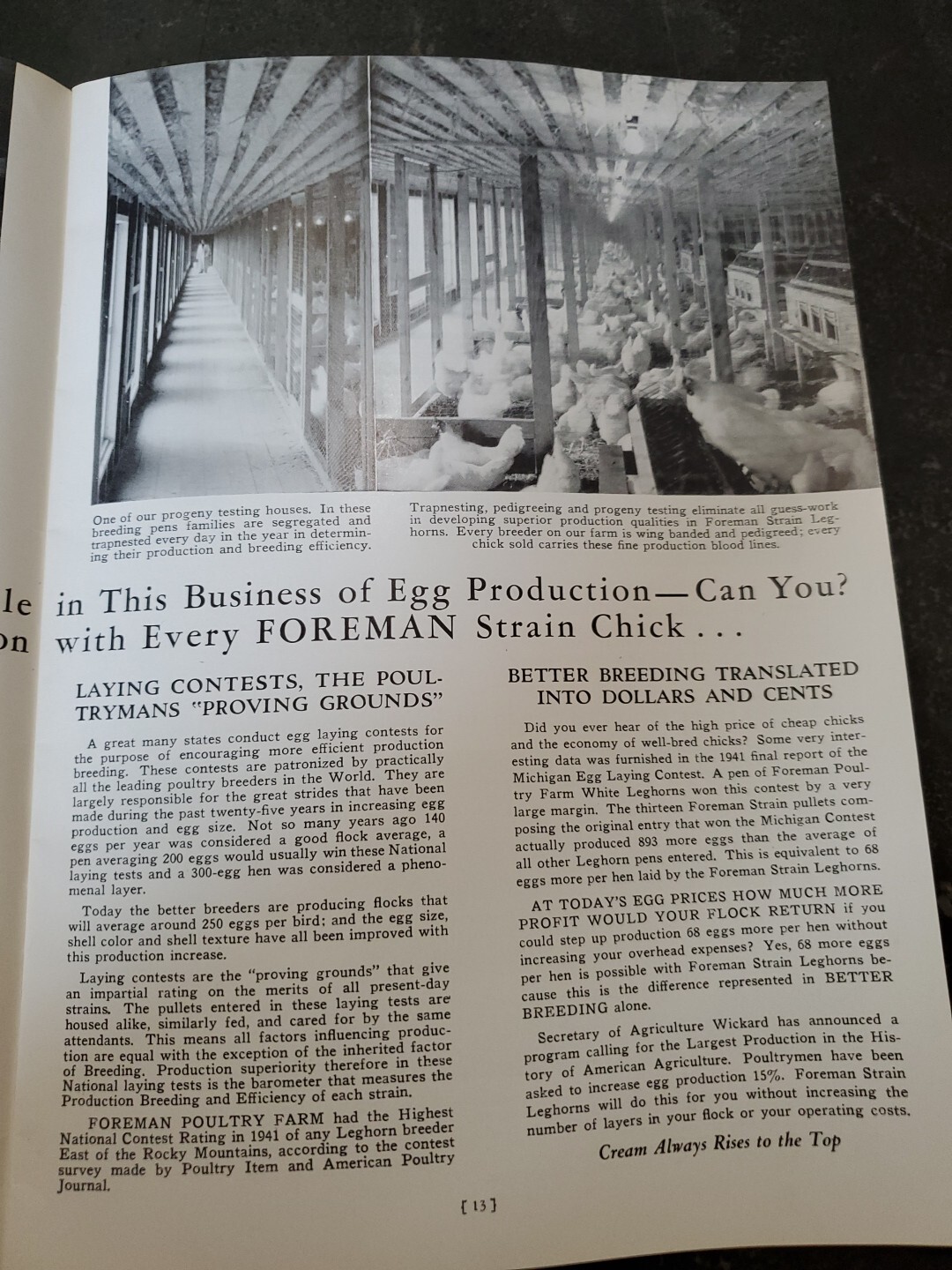 1944 Foreman Poultry Farm Catalog Chickens Beautiful & RARE 🐔