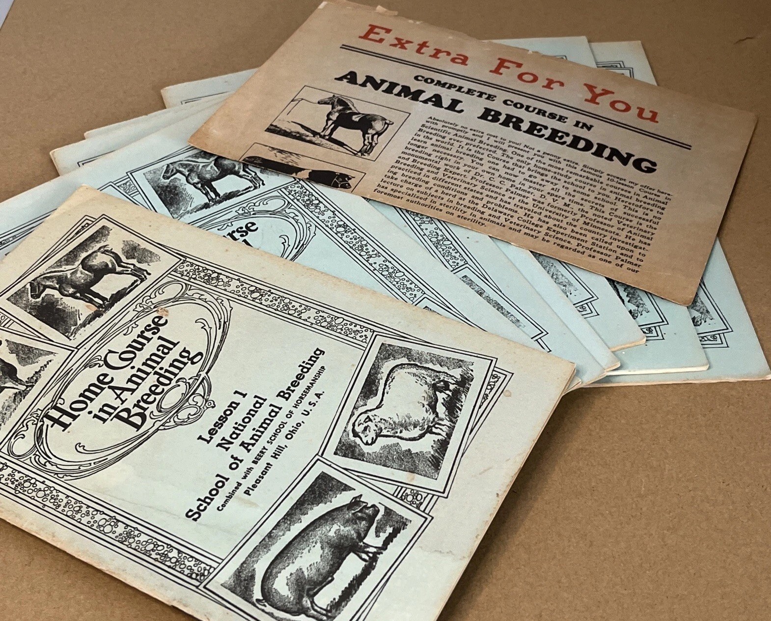 Vintage 1961 Beery School Horsemanship Animal Breeding Course – Partial Set