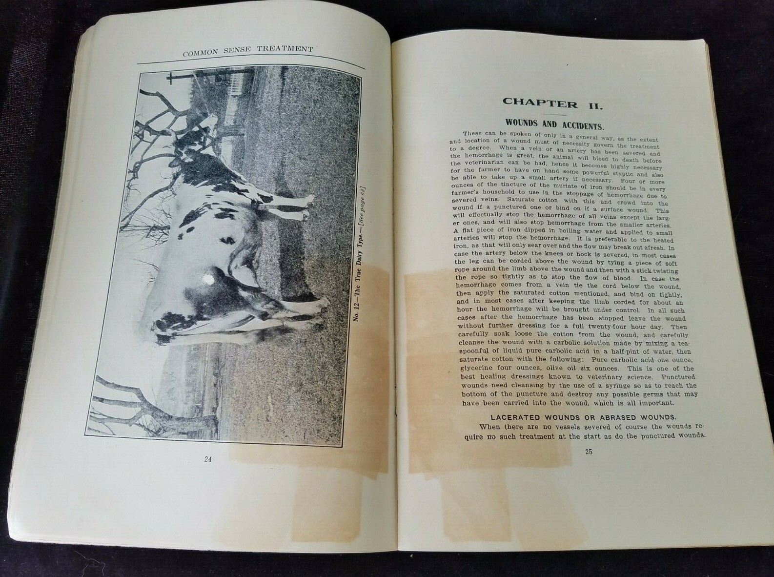 1911 Common Sense Treatment Farm Animals CD Smead National Stockman & Farmer