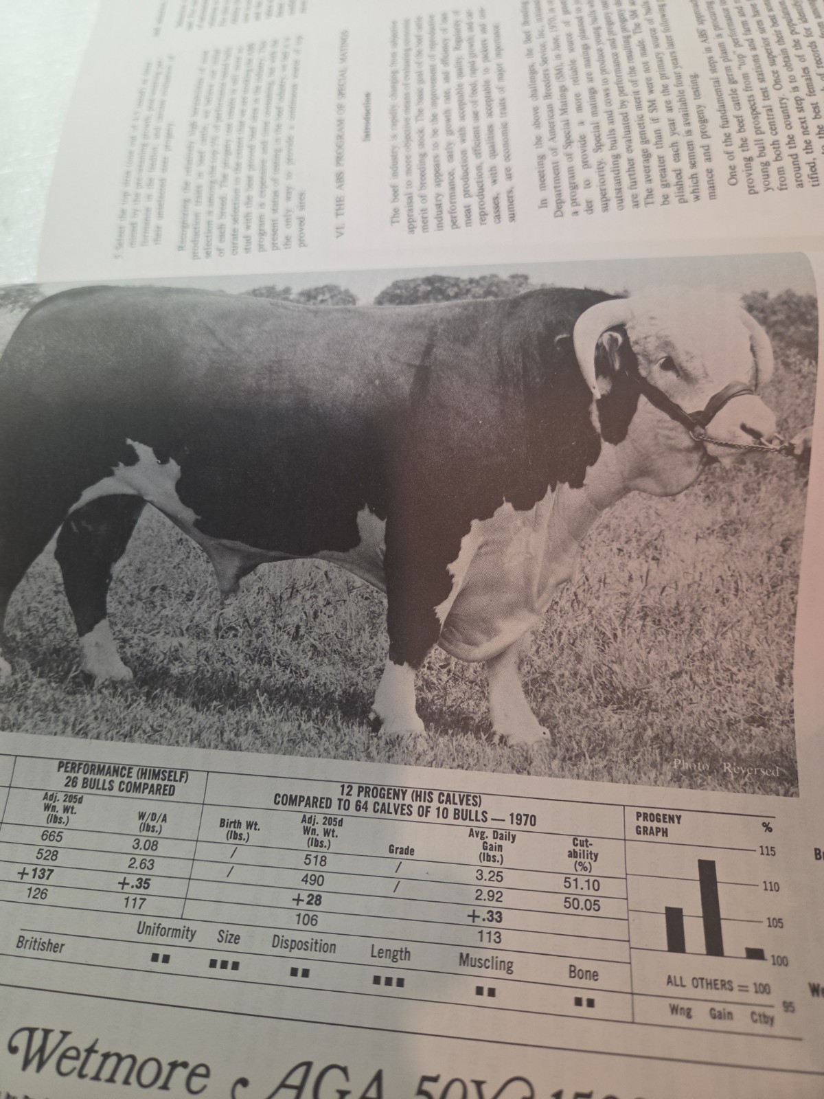 Vintage 1971 ABS American Breeders Service A I Management MANUAL
