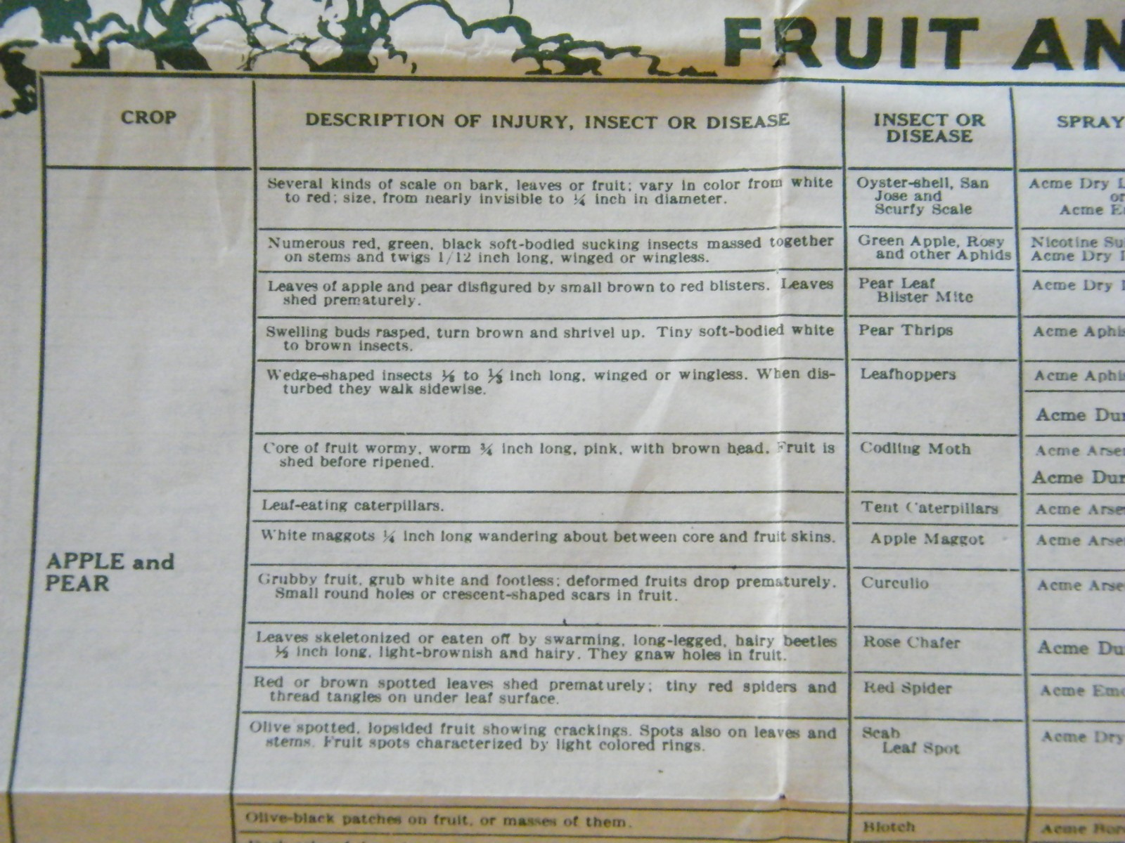 Vintage 1960&rsquo;s-70&rsquo;s Acme Spraying Dusting Guide For Gardens & Lawns Brochure