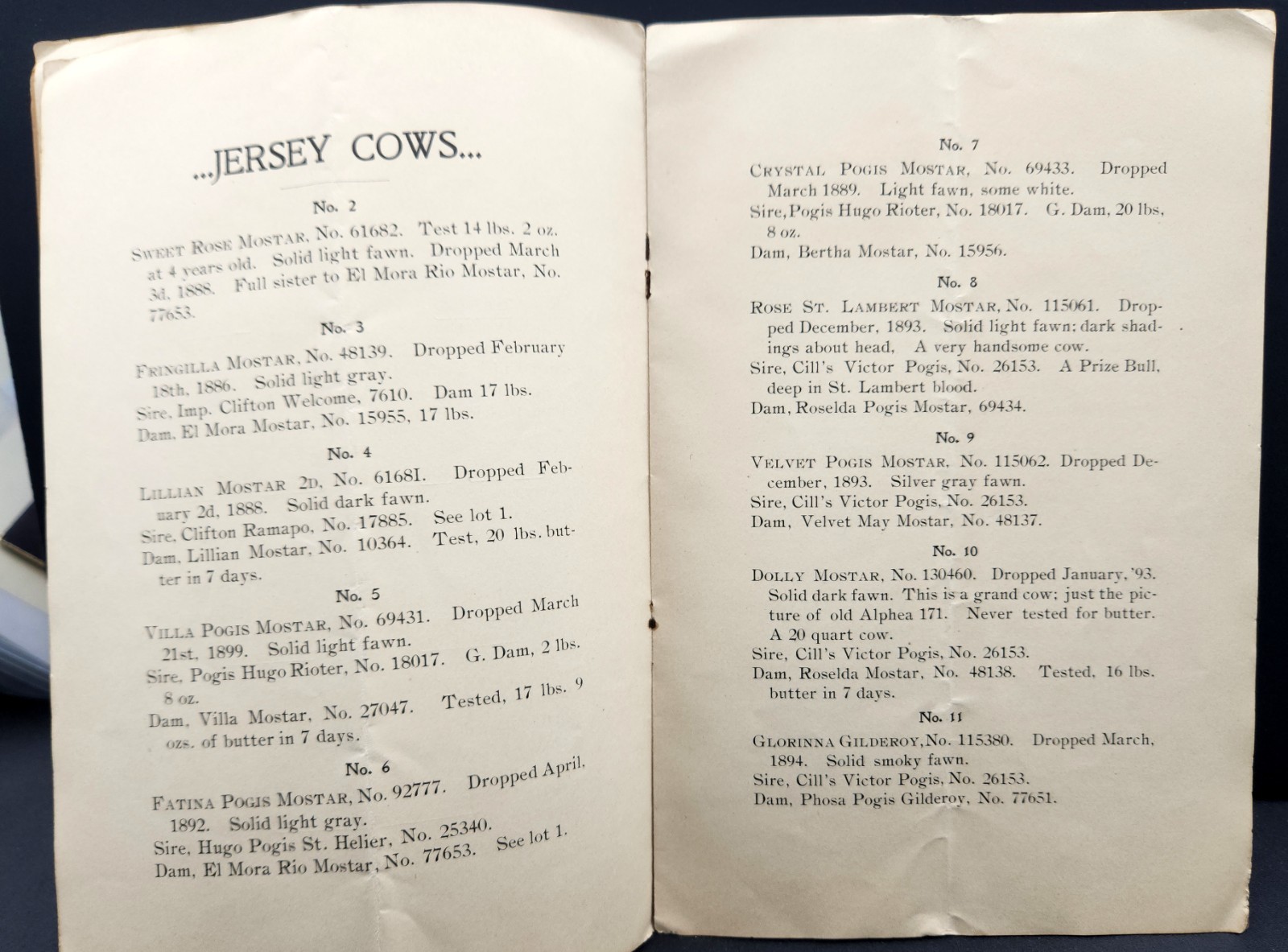 Clifton Farms Auction Catalogue Jersey Cattle & Chester Pigs Chester PA c.1900