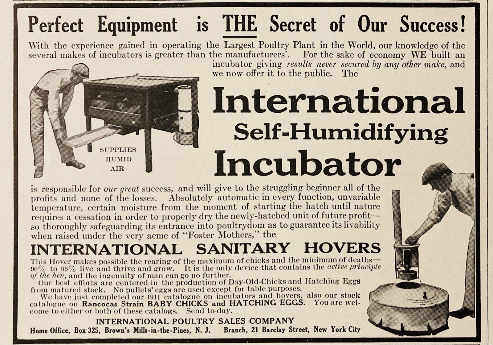 1911 AD.(PC9)~INTERNATIONAL POULTRY SALES CO. BROWN’S MILLS-IN-THE-PINES, NJ.