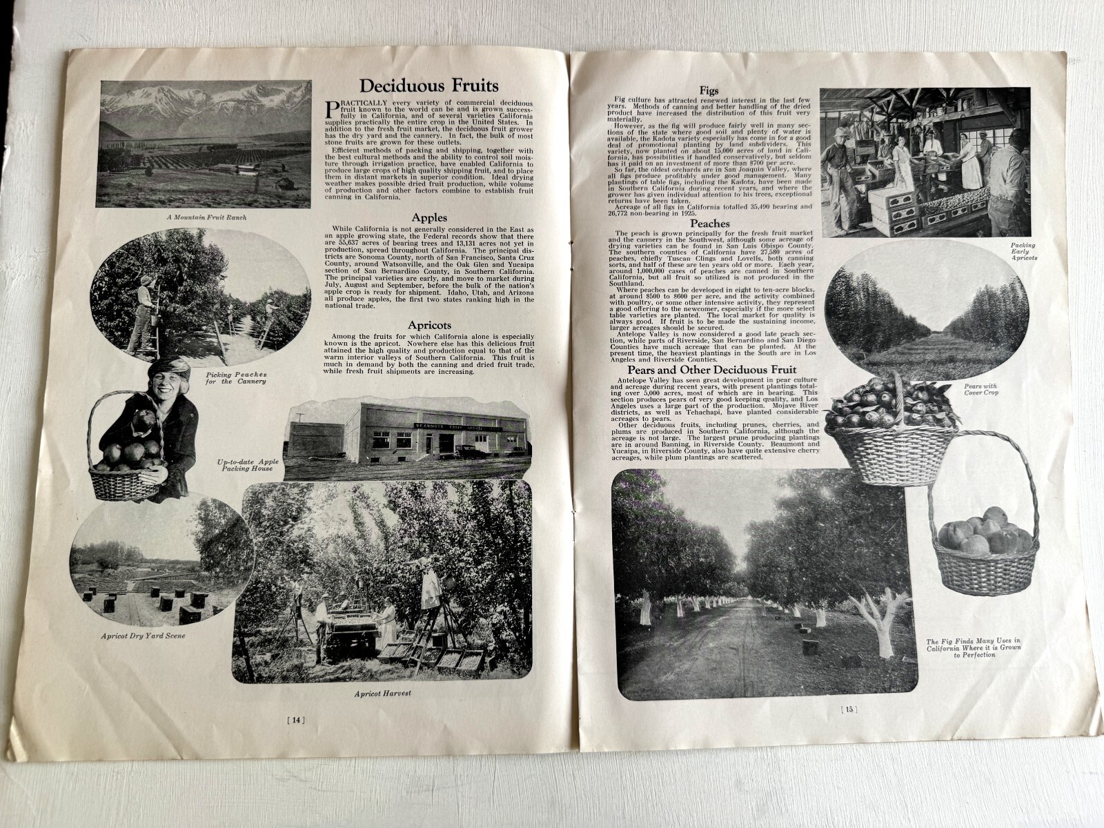 1927 Booklet- Los Angeles the Center of an Agricultural Empire
