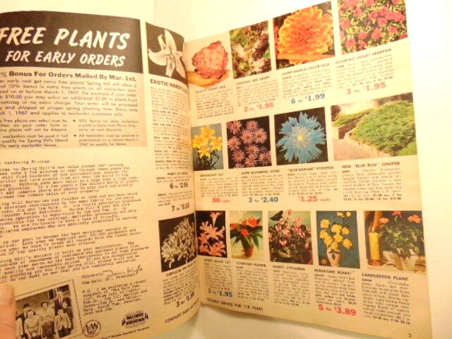 Vintage spring 1967 Spring Hill Nurseries catalog; Tipp City, OH
