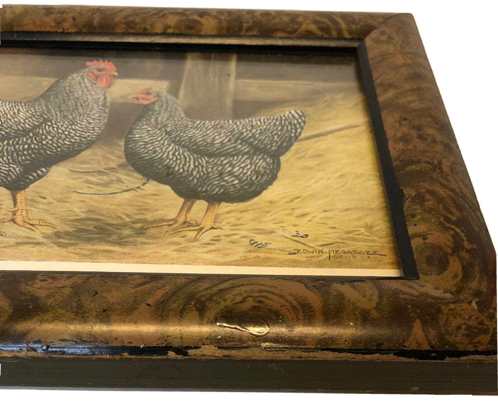 Vintage Barred Plymouth Rocks Framed Poultry Print Edwin Megargee No Glass As Is