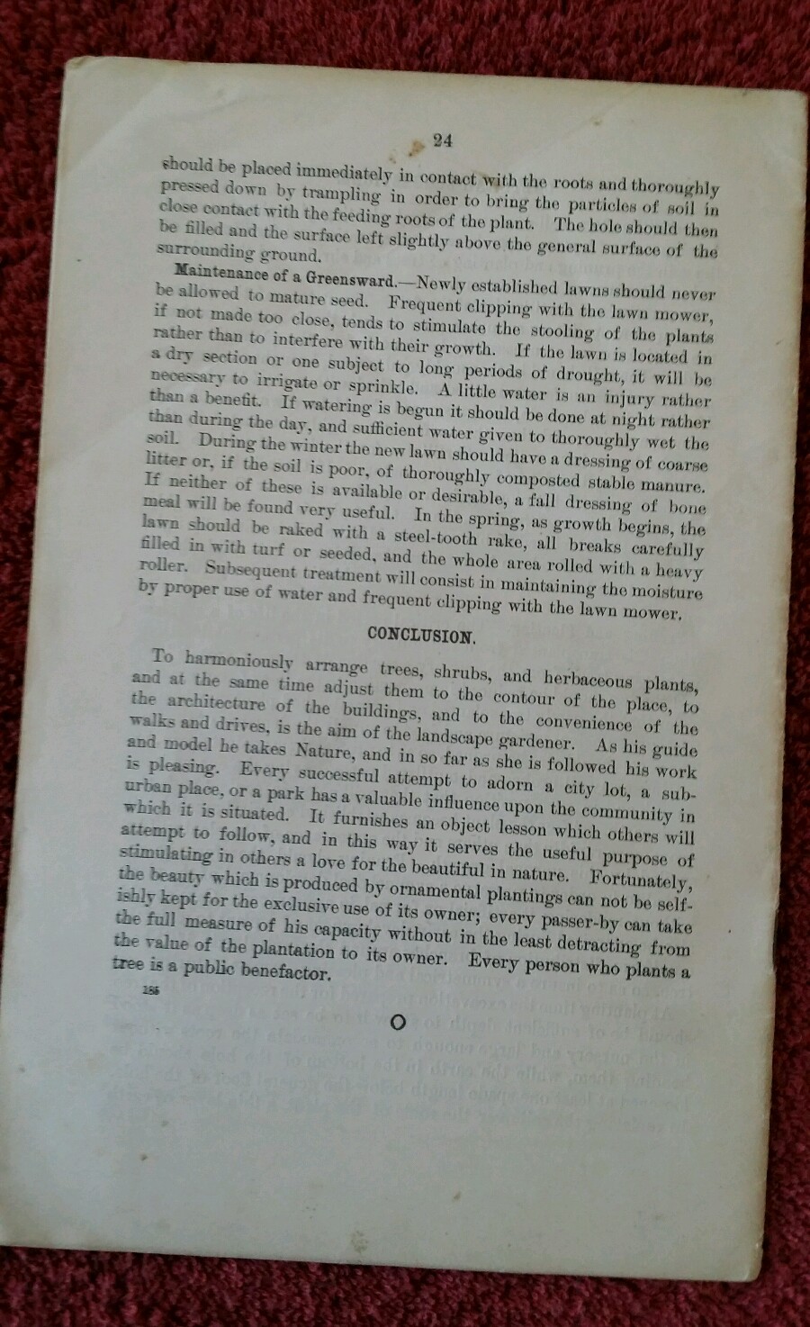 U.S. Department of Ag Vintage 1904 Farmers&rsquo; Bulletin #185 Beautify Home Grounds