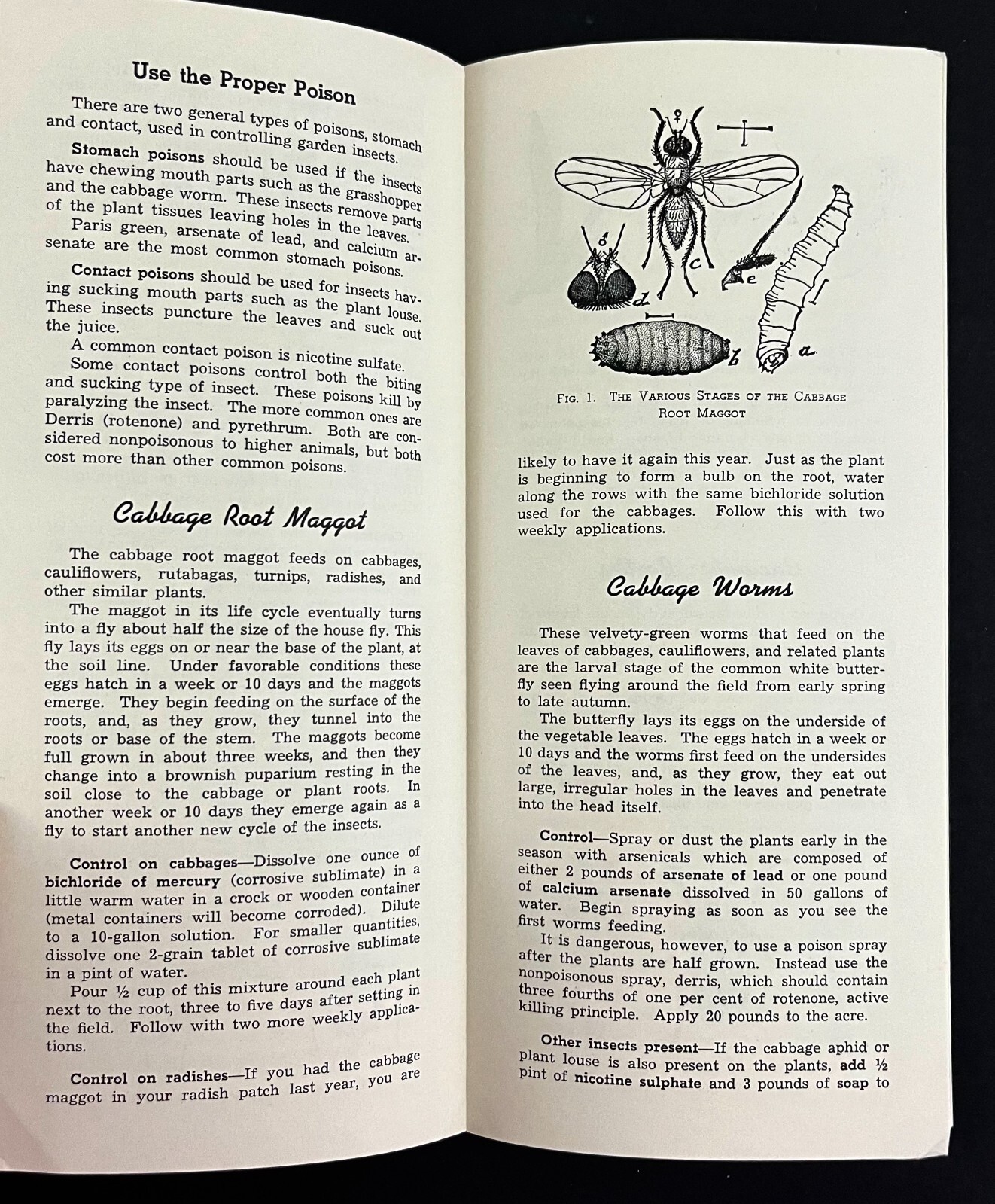 1940 Control Vegetable Garden Insects Bugs Univ Minnesota Vintage Brochure