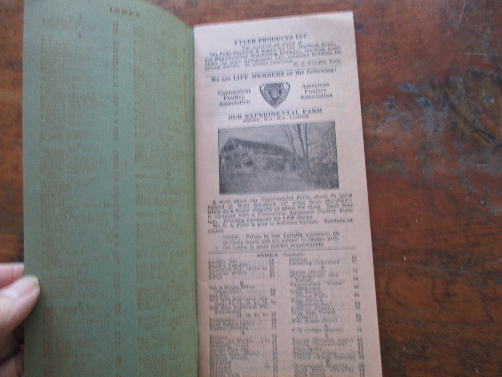 Rare 1929 FYLERS catalog POULTRY FARM SUPPLIES 70 pages illustrated /seeds also