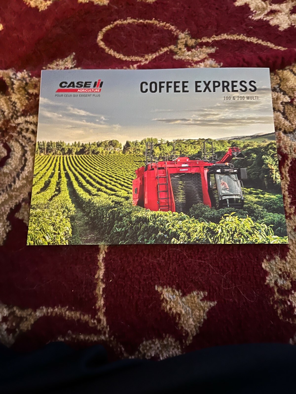 Case International 100 200 Multi Coffee Picker Brochure FCCA