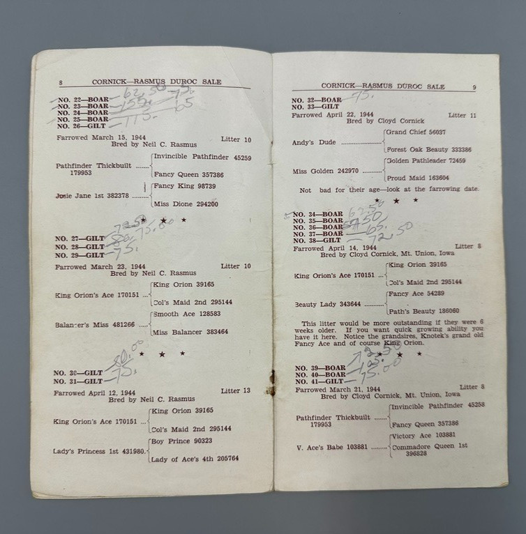 1944 DUROC BOAR Gilt PIG SWINE Sale AUCTION Brochure MT UNION IOWA Vintage Farm