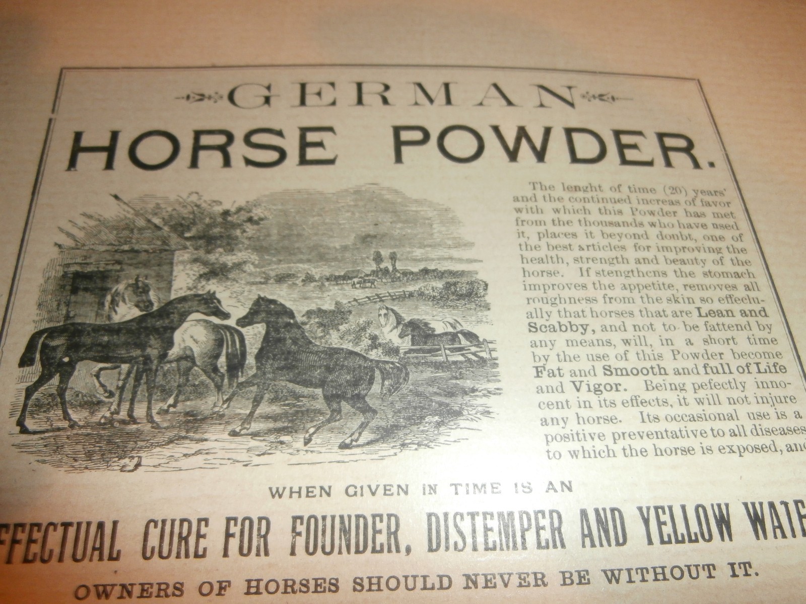 Harrisburg PA E Z Gross Drug Store German Horse Cattle Powder 1800&rsquo;s Paper Ad