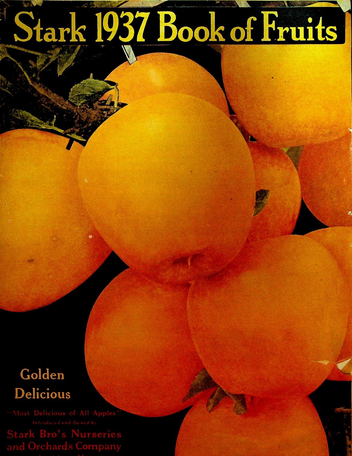 Stark 1937 Book of Fruits Catalog Stark Bros Nursery Louisiana Missouri