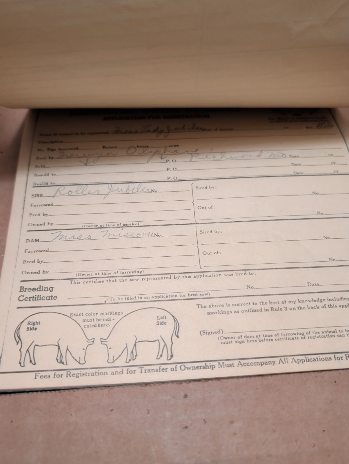 Vintage 1947 1948 Hampshire Swine Registry With Filled In Registars
