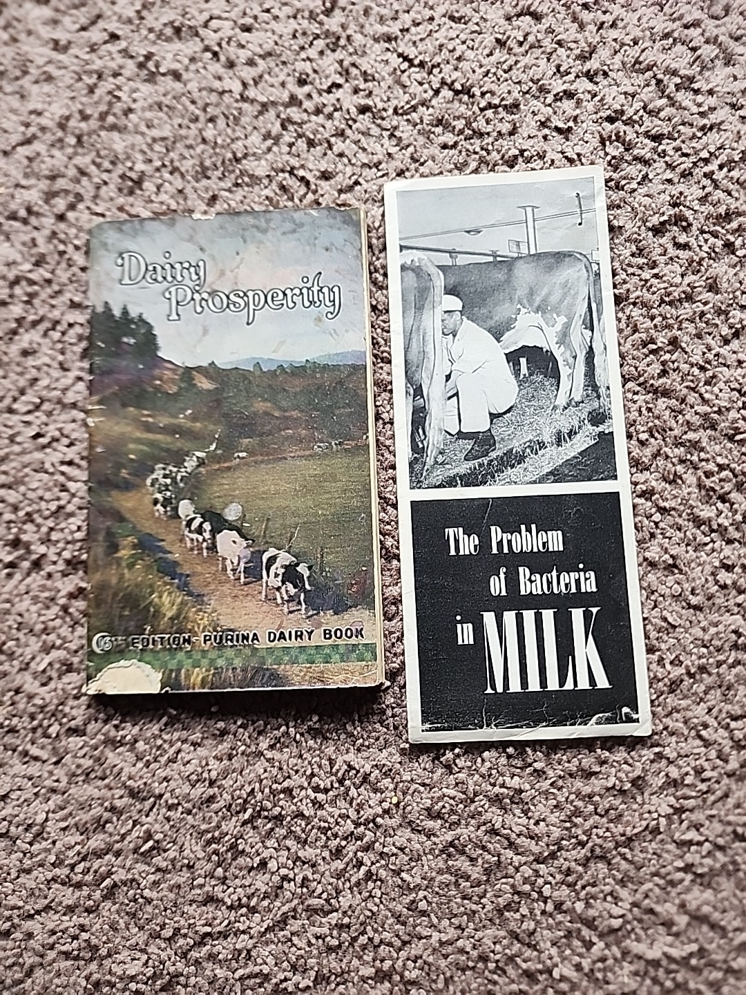 Vintage 1929 Dairy Prosperity Book By Purina And 1948 MILK Bacteria Flyer