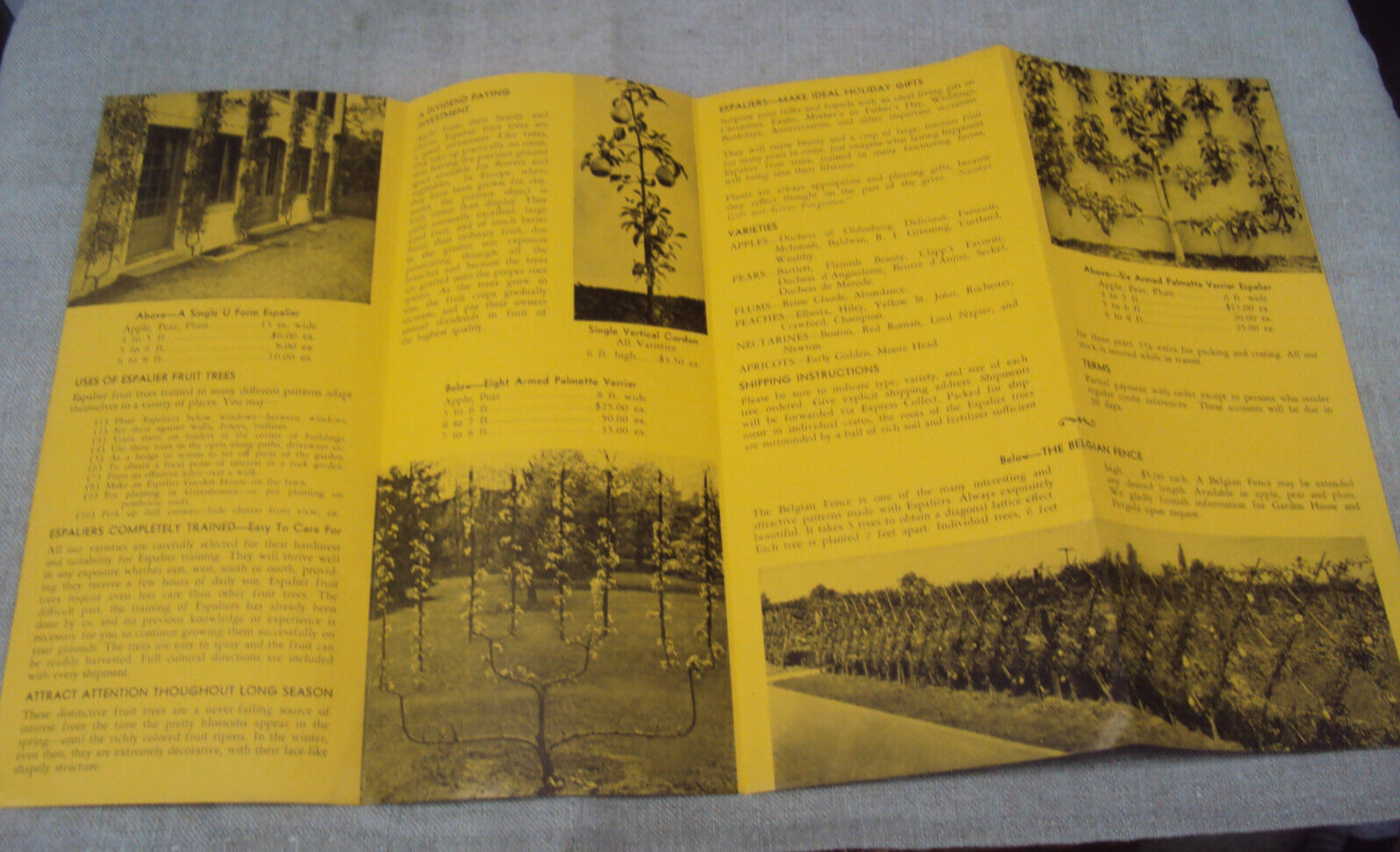 Scarce Vintage Folding Brochure Letter / Envelope Espalier Trees Henry Leuthardt