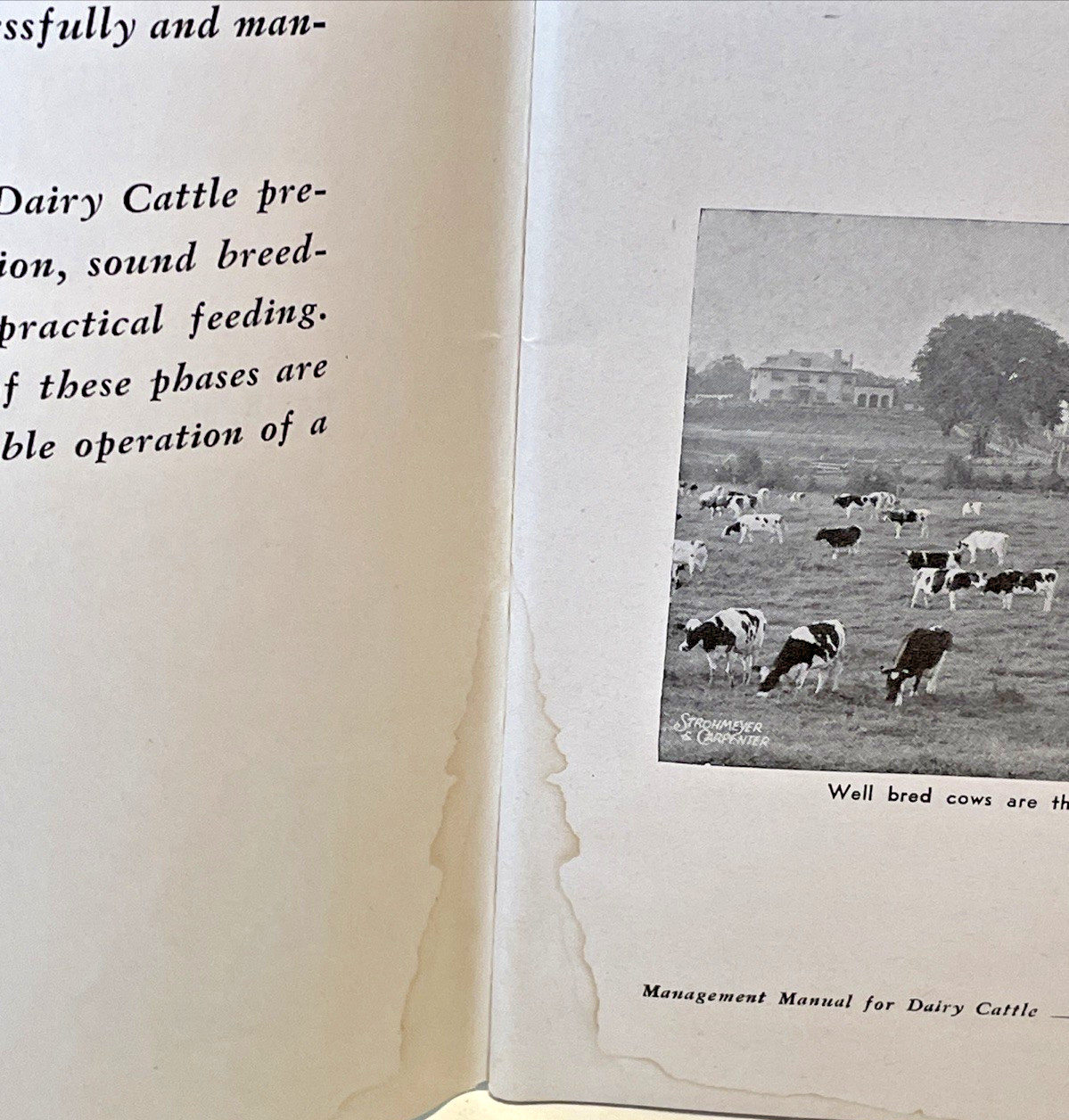 McMillen Feed Mill Management manual for Dairy Cattle 1950