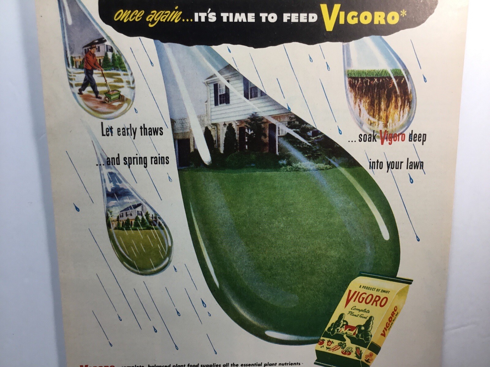 1949 Vigoro Plant Food, Essential Plant Nutriends. Original Print Ad.