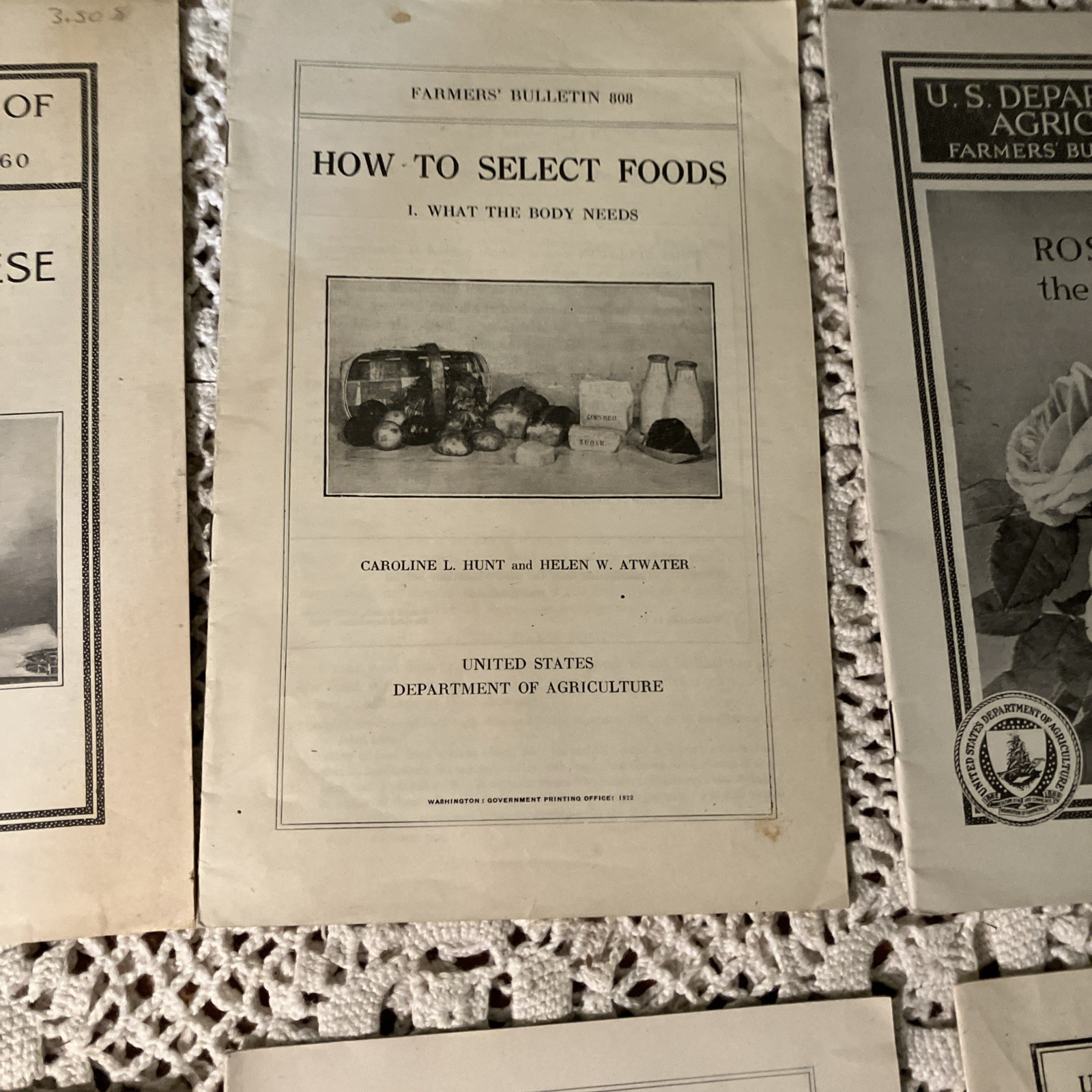 Department of Agriculture Antique 1919 & 20&rsquo;s Bulletin&rsquo;s Pamphlet&rsquo;s Lot 6-D