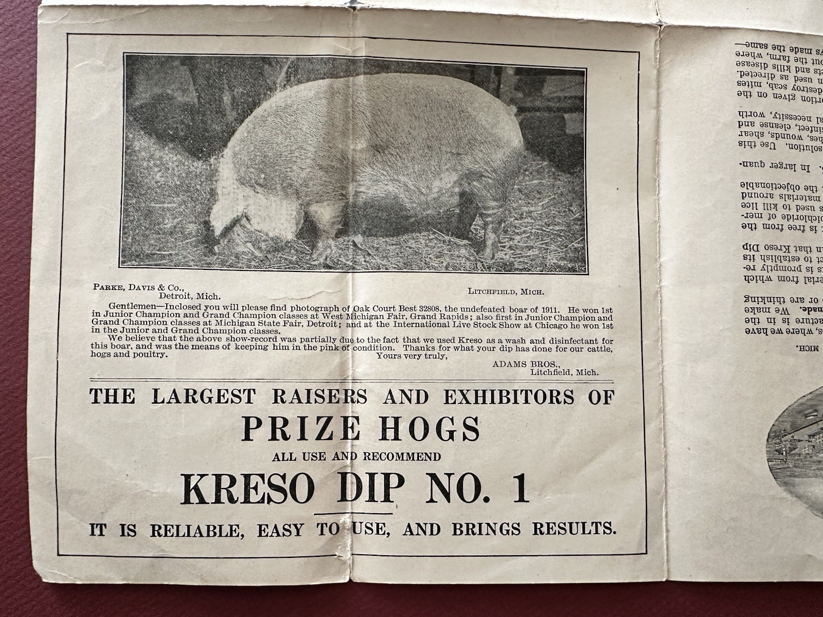Vintage 1918 Kreso Dip No. 1 Brochure, Farm Sanitation, Etc., Parke, Davis & Co.