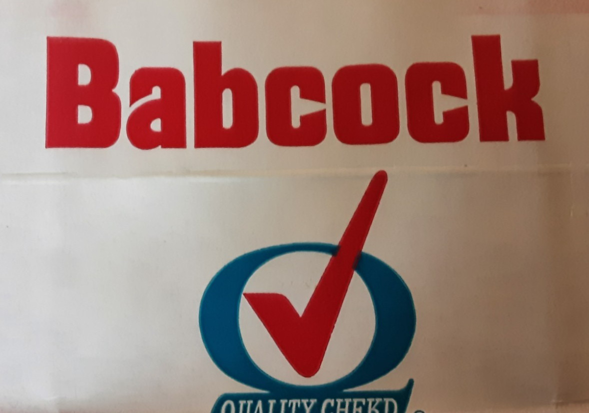 Lot of 3 Babcock Dairy 2½ Gallon Delivery Bags Toledo OH Red Blue Logo Clean