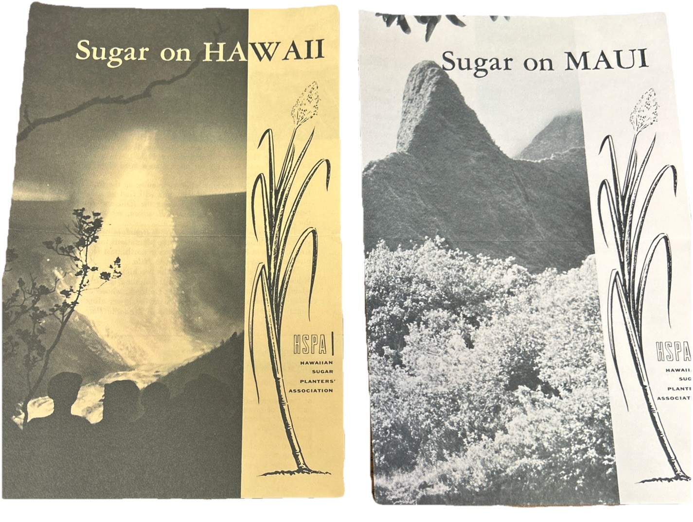 1964 Hawaiian Sugar Cane Industry Vintage Print Advertising Pamphlets Education