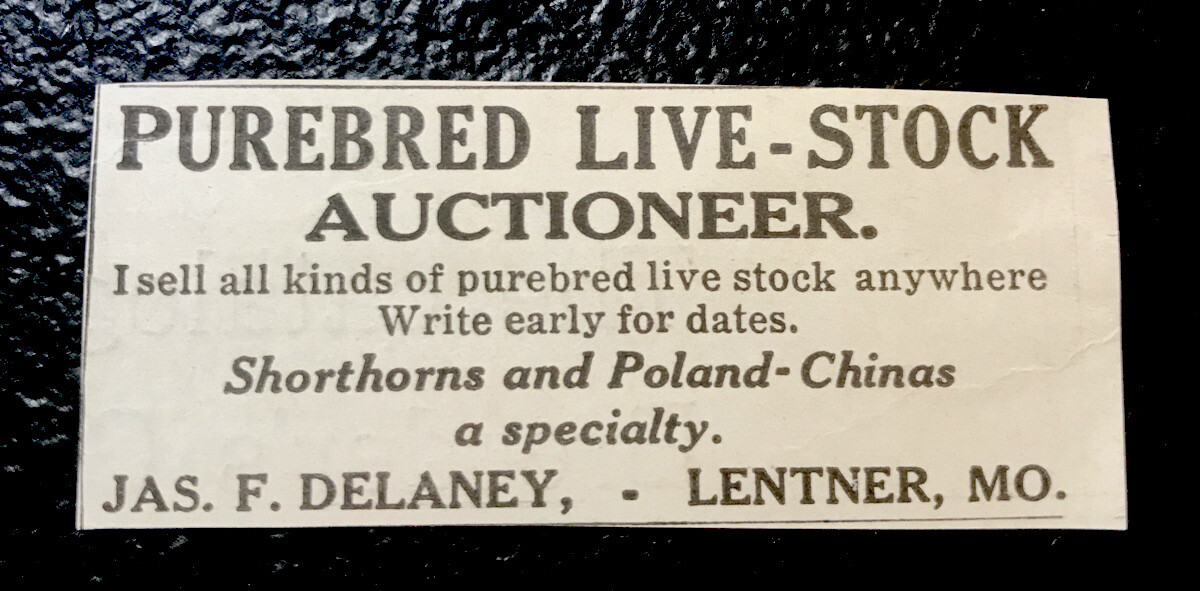1919 Delaney Cattle Livestock Auction Advertising – Lentner – Missouri – Cow