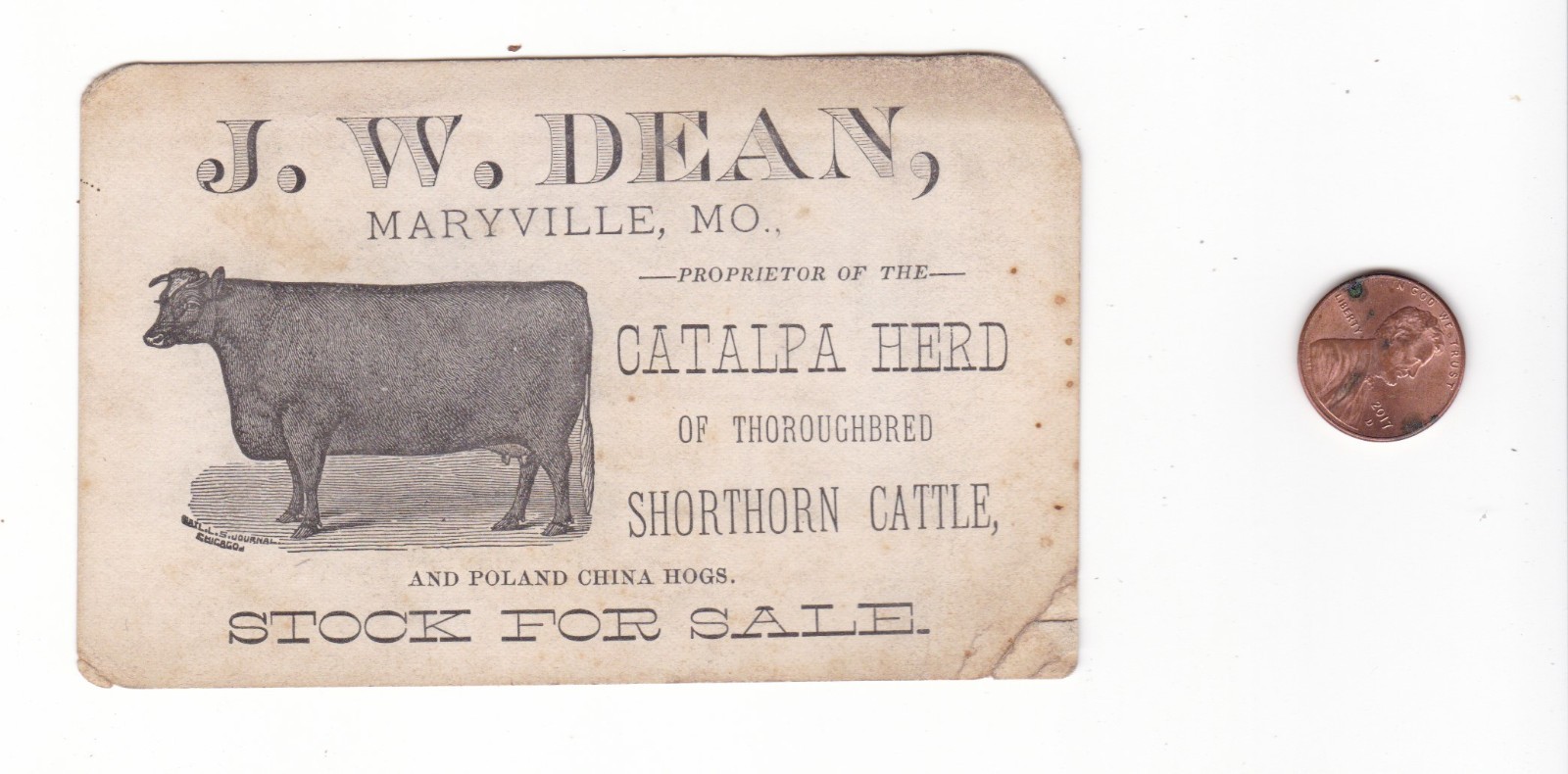 Maryville, Missouri antique business card / Shorthorn Cattle / J.W. Dean