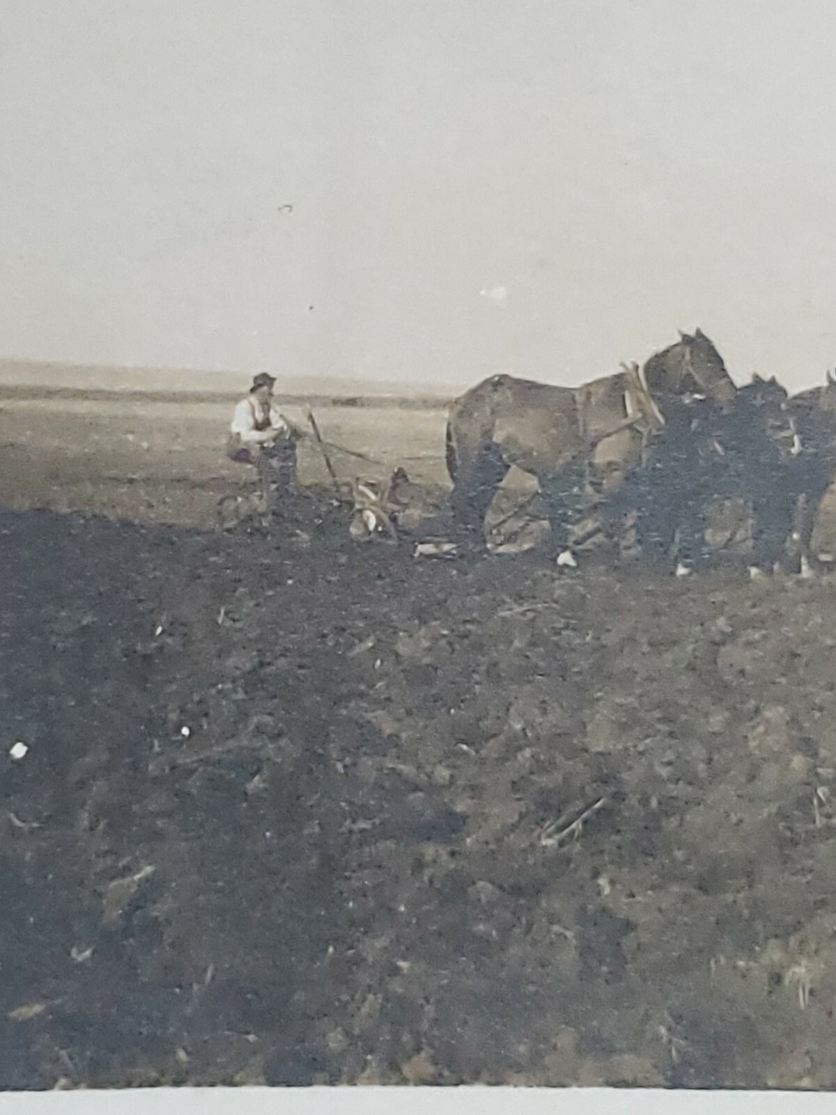 Vntg 1890-1900 Farming RPPC Agricultural Postcard