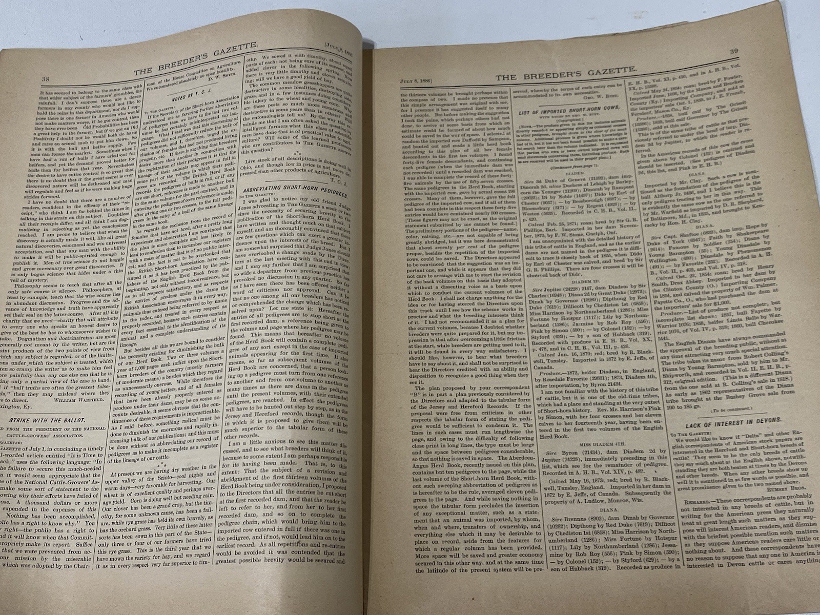 Vtg 1886 July Breeders Gazette Hereford Steer Pigs Cows Horse Advertisements